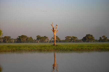 Kakadu Fluss