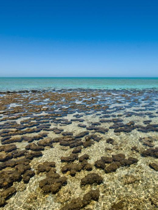Ningaloo Reef: Das 250 km lange UNESCO-Welterbe.