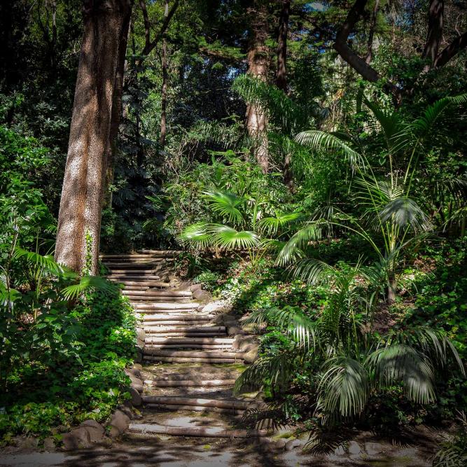 Nationalpark Cahuita