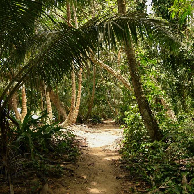 Tortuguero