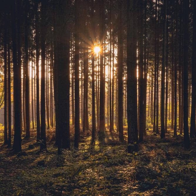 Ellison Provincial Park
