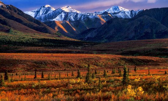 Durch die Wildnis in den Rockies