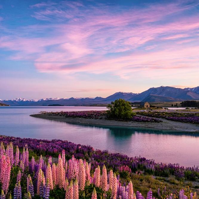 Lake Tekapo