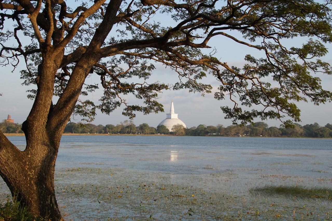 Anuradhapura - Panorama mit Dagoba