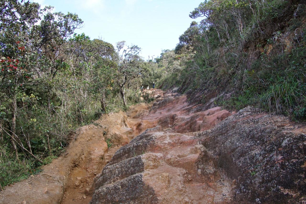 Horton-Plains Nationalpark - Wanderweg zum World's End