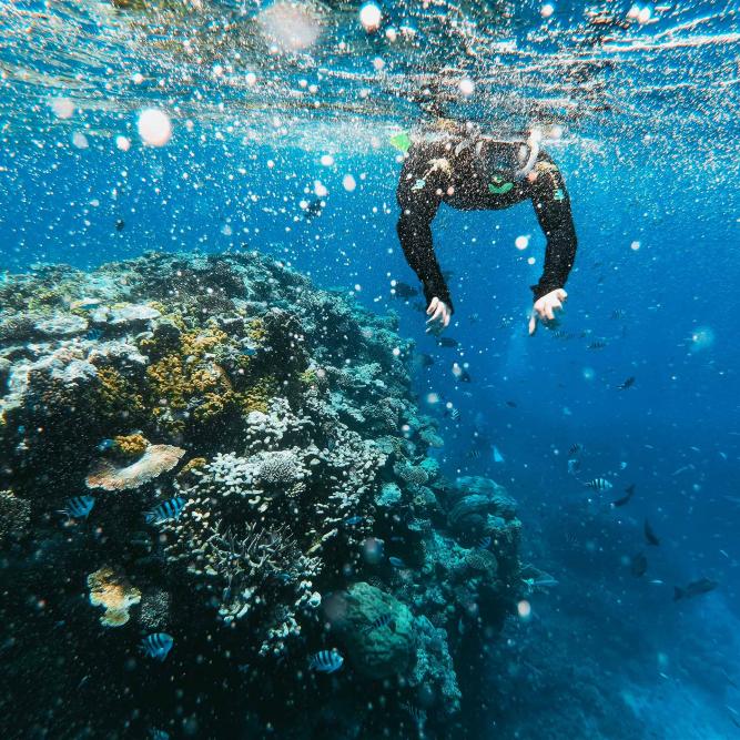 Great Barrier Reef