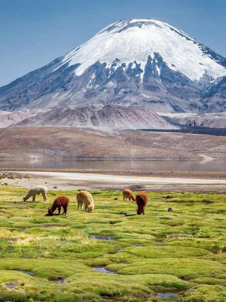 Chile
