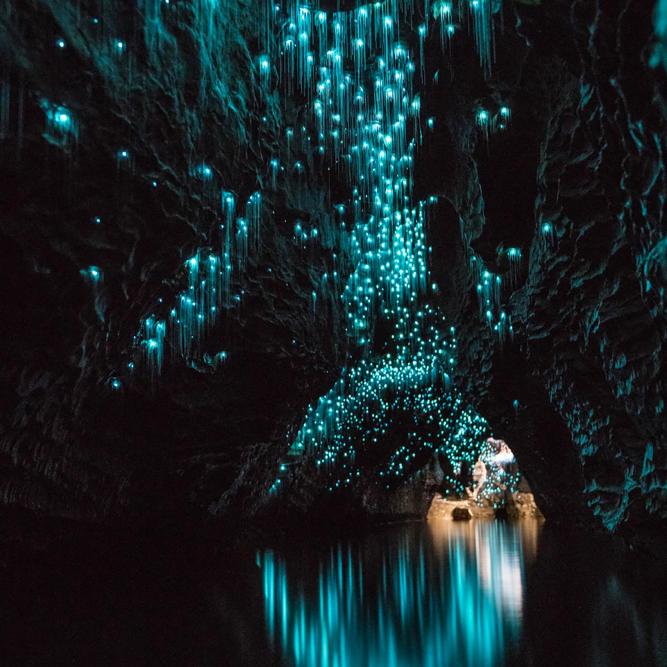 Waitomo Caves